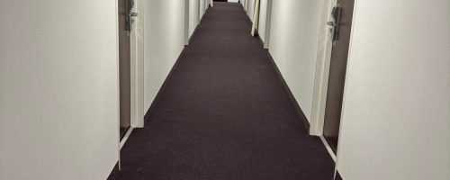 Photo-1-apres-nettoyage-copropriete-par-dl-nettoyage-51